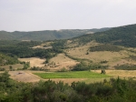 parcelle davejan juillet 2008.JPG